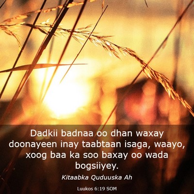 Picture 03 - Luukos 6:19 SOM - Dadkii badnaa oo dhan waxay doonayeen inay - Bible Verse Picture