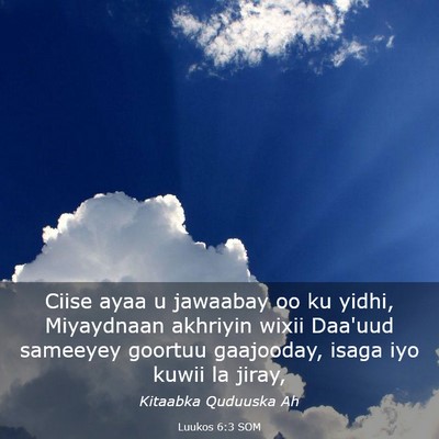 Picture 03 - Luukos 6:3 SOM - Ciise ayaa u jawaabay oo ku yidhi, Miyaydnaan - Bible Verse Picture