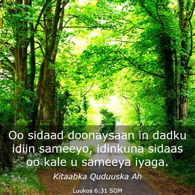 Picture 03 - Luukos 6:31 SOM - Oo sidaad doonaysaan in dadku idiin sameeyo, - Bible Verse Picture