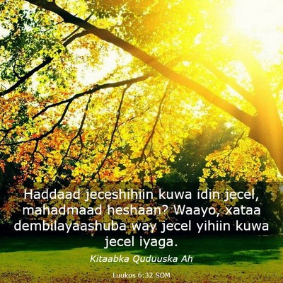 Picture 03 - Luukos 6:32 SOM - Haddaad jeceshihiin kuwa idin jecel, mahadmaad - Bible Verse Picture