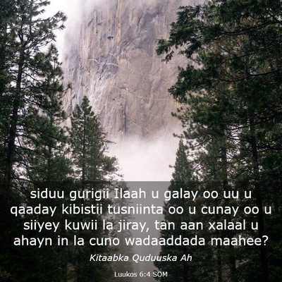 Picture 03 - Luukos 6:4 SOM - siduu gurigii Ilaah u galay oo uu u qaaday - Bible Verse Picture