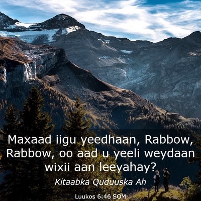 Picture 03 - Luukos 6:46 SOM - Maxaad iigu yeedhaan, Rabbow, Rabbow, oo aad u - Bible Verse Picture