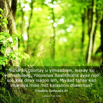 Picture 03 - Luukos 7:20 SOM - Nimankii goortay u yimaadeen, waxay ku - Bible Verse Picture