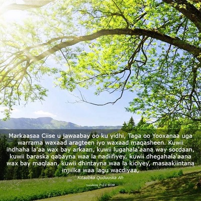 Picture 03 - Luukos 7:22 SOM - Markaasaa Ciise u jawaabay oo ku yidhi, Taga oo - Bible Verse Picture