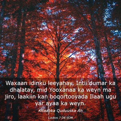 Picture 03 - Luukos 7:28 SOM - Waxaan idinku leeyahay, Intii dumar ka dhalatay, - Bible Verse Picture