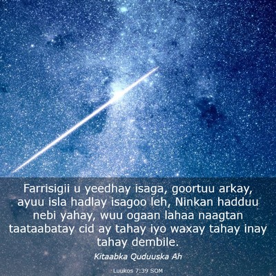 Picture 03 - Luukos 7:39 SOM - Farrisigii u yeedhay isaga, goortuu arkay, ayuu - Bible Verse Picture