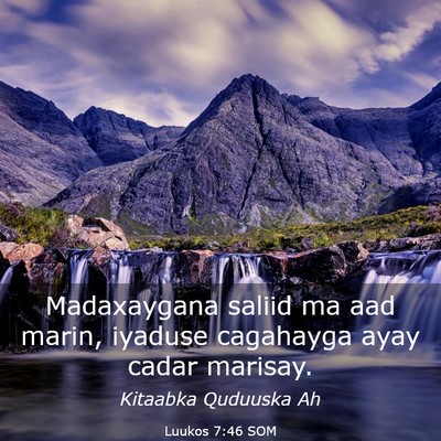 Picture 03 - Luukos 7:46 SOM - Madaxaygana saliid ma aad marin, iyaduse - Bible Verse Picture