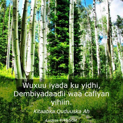 Picture 03 - Luukos 7:48 SOM - Wuxuu iyada ku yidhi, Dembiyadaadii waa cafiyan - Bible Verse Picture