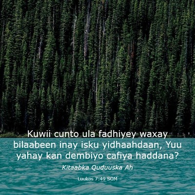 Picture 03 - Luukos 7:49 SOM - Kuwii cunto ula fadhiyey waxay bilaabeen inay - Bible Verse Picture