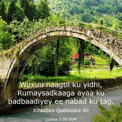 Picture 03 - Luukos 7:50 SOM - Wuxuu naagtii ku yidhi, Rumaysadkaaga ayaa ku - Bible Verse Picture