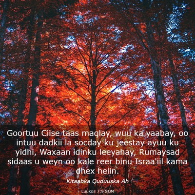 Picture 03 - Luukos 7:9 SOM - Goortuu Ciise taas maqlay, wuu ka yaabay, oo - Bible Verse Picture