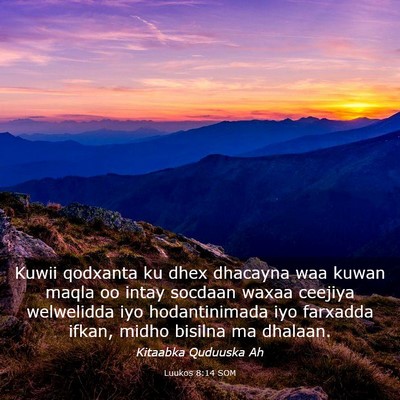Picture 03 - Luukos 8:14 SOM - Kuwii qodxanta ku dhex dhacayna waa kuwan maqla - Bible Verse Picture