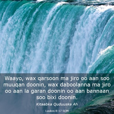 Picture 03 - Luukos 8:17 SOM - Waayo, wax qarsoon ma jiro oo aan soo muuqan - Bible Verse Picture