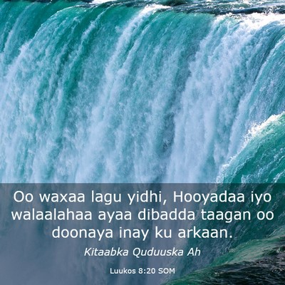 Picture 03 - Luukos 8:20 SOM - Oo waxaa lagu yidhi, Hooyadaa iyo walaalahaa ayaa - Bible Verse Picture