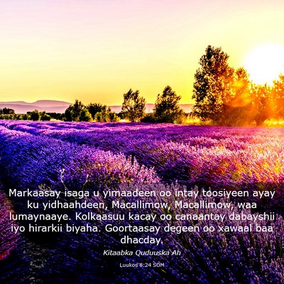 Picture 03 - Luukos 8:24 SOM - Markaasay isaga u yimaadeen oo intay toosiyeen - Bible Verse Picture