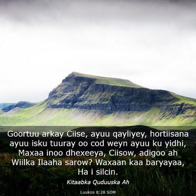 Picture 03 - Luukos 8:28 SOM - Goortuu arkay Ciise, ayuu qayliyey, hortiisana - Bible Verse Picture