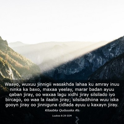 Picture 03 - Luukos 8:29 SOM - Waayo, wuxuu jinnigii wasakhda lahaa ku amray - Bible Verse Picture