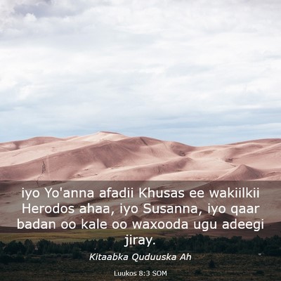 Picture 03 - Luukos 8:3 SOM - iyo Yo'anna afadii Khusas ee wakiilkii Herodos - Bible Verse Picture