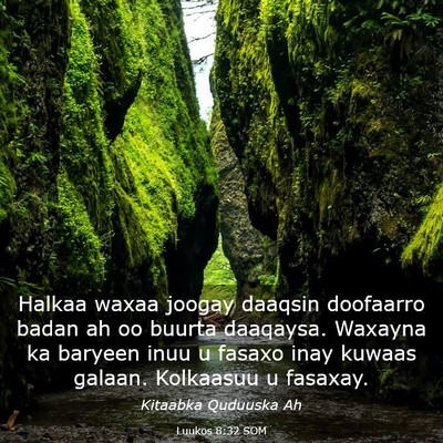 Picture 03 - Luukos 8:32 SOM - Halkaa waxaa joogay daaqsin doofaarro badan ah oo - Bible Verse Picture