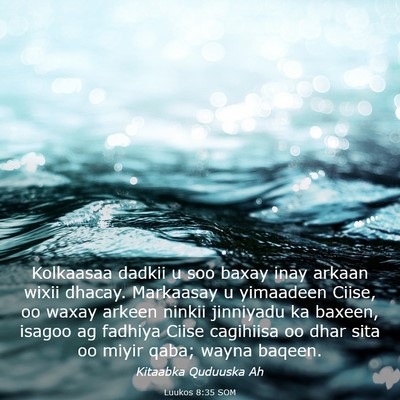 Picture 03 - Luukos 8:35 SOM - Kolkaasaa dadkii u soo baxay inay arkaan wixii - Bible Verse Picture