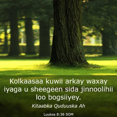 Picture 03 - Luukos 8:36 SOM - Kolkaasaa kuwii arkay waxay iyaga u sheegeen sida - Bible Verse Picture