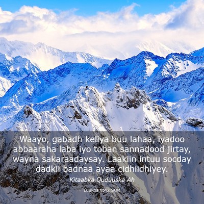 Picture 03 - Luukos 8:42 SOM - Waayo, gabadh keliya buu lahaa, iyadoo abbaaraha - Bible Verse Picture