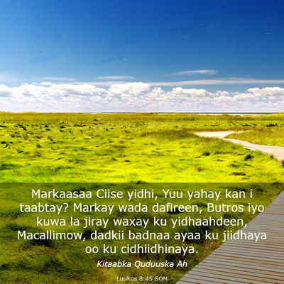 Picture 03 - Luukos 8:45 SOM - Markaasaa Ciise yidhi, Yuu yahay kan i taabtay? - Bible Verse Picture