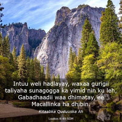 Picture 03 - Luukos 8:49 SOM - Intuu weli hadlayay, waxaa gurigii taliyaha - Bible Verse Picture