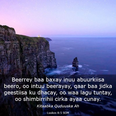 Picture 03 - Luukos 8:5 SOM - Beerrey baa baxay inuu abuurkiisa beero, oo intuu - Bible Verse Picture