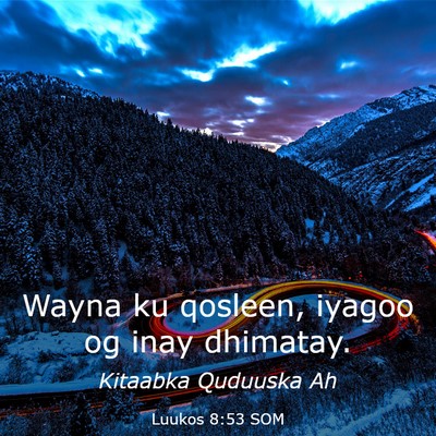Picture 03 - Luukos 8:53 SOM - Wayna ku qosleen, iyagoo og inay - Bible Verse Picture