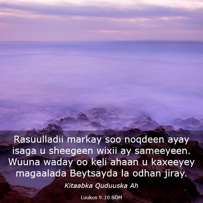 Picture 03 - Luukos 9:10 SOM - Rasuulladii markay soo noqdeen ayay isaga u - Bible Verse Picture