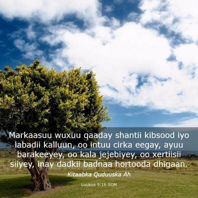 Picture 03 - Luukos 9:16 SOM - Markaasuu wuxuu qaaday shantii kibsood iyo - Bible Verse Picture