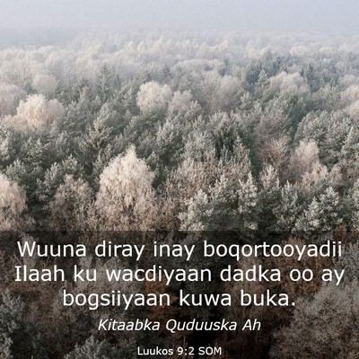 Picture 03 - Luukos 9:2 SOM - Wuuna diray inay boqortooyadii Ilaah ku wacdiyaan - Bible Verse Picture