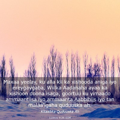 Picture 03 - Luukos 9:26 SOM - Maxaa yeelay, ku alla kii ka xishooda aniga iyo - Bible Verse Picture