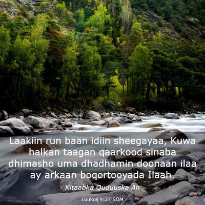 Picture 03 - Luukos 9:27 SOM - Laakiin run baan idiin sheegayaa, Kuwa halkan - Bible Verse Picture