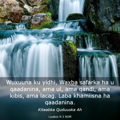 Picture 03 - Luukos 9:3 SOM - Wuxuuna ku yidhi, Waxba safarka ha u qaadanina, - Bible Verse Picture