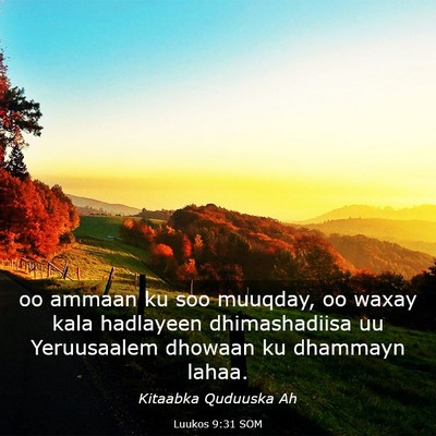 Picture 03 - Luukos 9:31 SOM - oo ammaan ku soo muuqday, oo waxay kala hadlayeen - Bible Verse Picture
