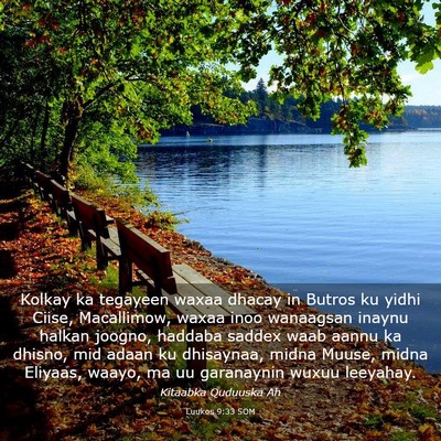Picture 03 - Luukos 9:33 SOM - Kolkay ka tegayeen waxaa dhacay in Butros ku - Bible Verse Picture