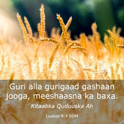 Picture 03 - Luukos 9:4 SOM - Guri alla gurigaad gashaan jooga, meeshaasna ka - Bible Verse Picture