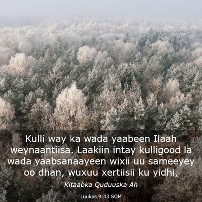 Picture 03 - Luukos 9:43 SOM - Kulli way ka wada yaabeen Ilaah weynaantiisa. - Bible Verse Picture