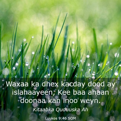 Picture 03 - Luukos 9:46 SOM - Waxaa ka dhex kacday dood ay islahaayeen, Kee baa - Bible Verse Picture