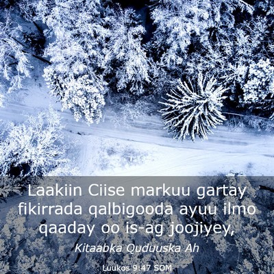 Picture 03 - Luukos 9:47 SOM - Laakiin Ciise markuu gartay fikirrada qalbigooda - Bible Verse Picture