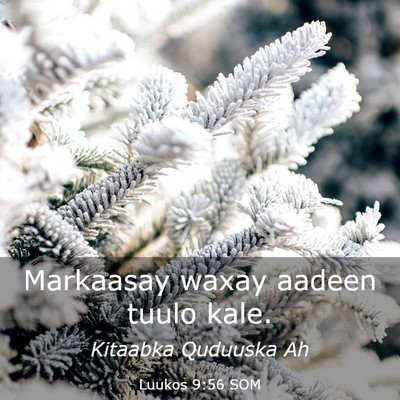 Picture 03 - Luukos 9:56 SOM - Markaasay waxay aadeen tuulo - Bible Verse Picture