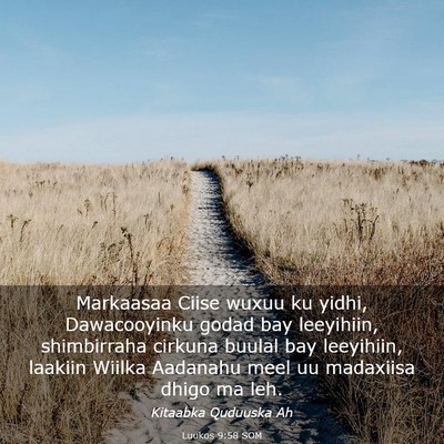 Picture 03 - Luukos 9:58 SOM - Markaasaa Ciise wuxuu ku yidhi, Dawacooyinku - Bible Verse Picture