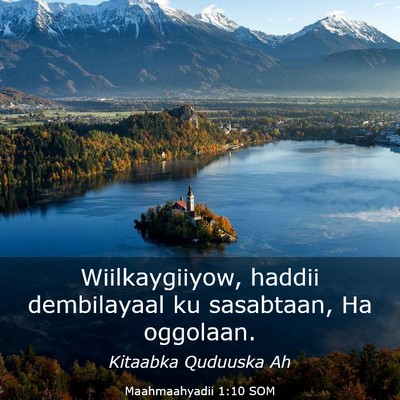Picture 03 - Maahmaahyadii 1:10 SOM - Wiilkaygiiyow, haddii dembilayaal ku sasabtaan, - Bible Verse Picture