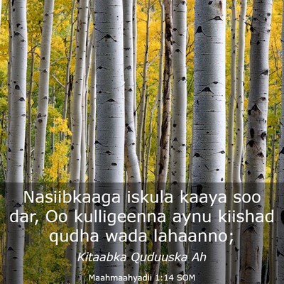 Picture 03 - Maahmaahyadii 1:14 SOM - Nasiibkaaga iskula kaaya soo dar, Oo kulligeenna - Bible Verse Picture
