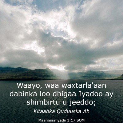 Picture 03 - Maahmaahyadii 1:17 SOM - Waayo, waa waxtarla'aan dabinka loo dhigaa Iyadoo - Bible Verse Picture