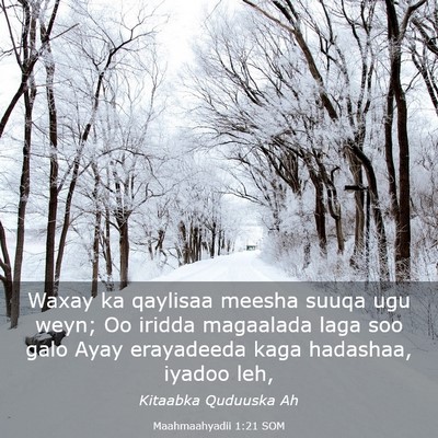 Picture 03 - Maahmaahyadii 1:21 SOM - Waxay ka qaylisaa meesha suuqa ugu weyn; Oo - Bible Verse Picture