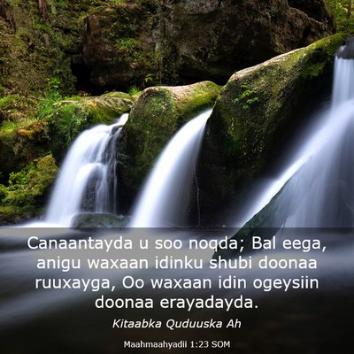 Picture 03 - Maahmaahyadii 1:23 SOM - Canaantayda u soo noqda; Bal eega, anigu waxaan - Bible Verse Picture