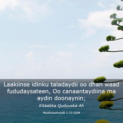 Picture 03 - Maahmaahyadii 1:25 SOM - Laakiinse idinku taladaydii oo dhan waad - Bible Verse Picture